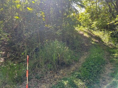 0 Carr 413 Interior, Rincon, PR 00677 - photo 2