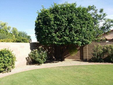 633 W Nopal Ave, Mesa, AZ 85210 - photo 4