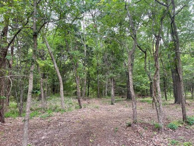 Lot 369 Polaris Dr, Corsicana, TX 75109 - photo 5