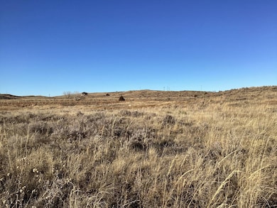 204 Lakeshore unit 8, Lonergan Precinct, NE 69147 - photo 3