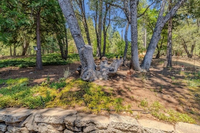 25804 Aspen Ct, Volcano, CA 95689 - photo 3