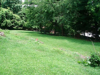 Yard/Garden.