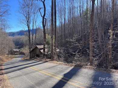 15 +/- Acres Riddle Branch Rd, Burnsville, NC 28714 - photo 2