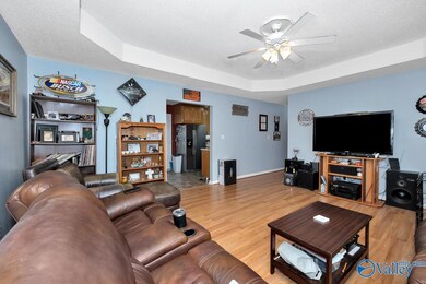 Laminate flooring, trey ceiling, ceiling fan