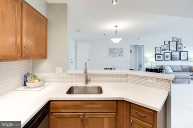 Quaker Hill Community unit 408, Alexandria, VA 22314 - photo 7