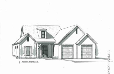202 Amber Pond