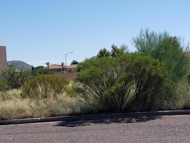 2923 Acacia Lot 11