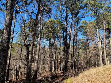 0 Camborne Dr unit 1182063, Bella Vista, AR 72714 - photo 2