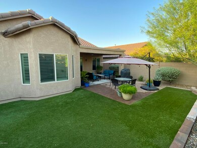 Backyard 2