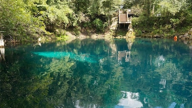 164 SE Pelican Rd, Branford, FL 32008 - photo 4