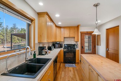 5010 County Road 228, Durango, CO 81301 - photo 4