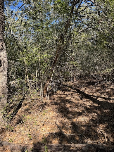 Lot 195 Kaelepulu Dr, Bastrop, TX 78602 - photo 6