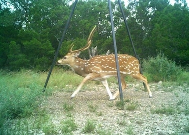 unlisted-address, Rocksprings, TX 78880 - photo 7