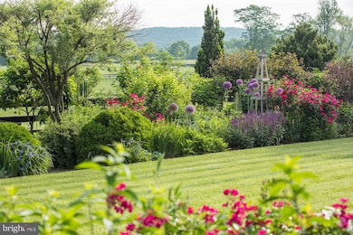 22857 Carters Farm Ln, Middleburg, VA 20117 - photo 6