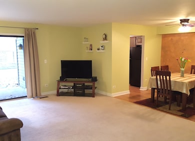 1515 Harbour Ct unit 1-A, Schaumburg, IL 60193 - photo 6