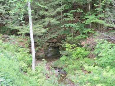 350 Commonwealth Ave, Ludlow, VT 05149 - photo 4