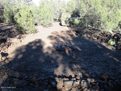 22171413 Unnamed Rd, Ash Fork, AZ 86320 - photo 4