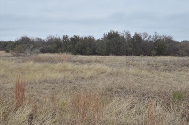 118 White Wing Ct, Weatherford, TX 76088 - photo 2