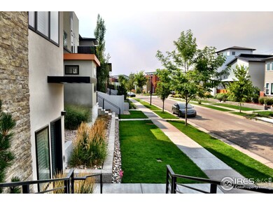 363 Pascal St, Fort Collins, CO 80524 - photo 3