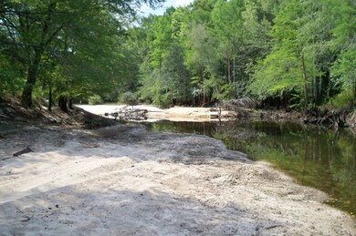 00 Findley Cemetery Rd, Lyons, GA 30436 - photo 3