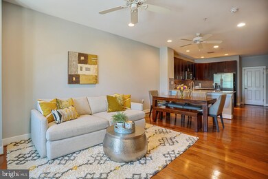 2404 Potomac Ave unit 101, Alexandria, VA 22301 - photo 4