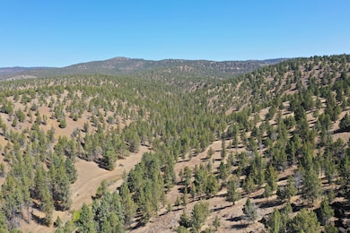 0 Tl 2400 Wiley Creek Rd, Mount Vernon, OR 97865 - photo 2