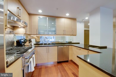 The Ritz-Carlton Residences, Baltimore, MD 21230 - photo 7