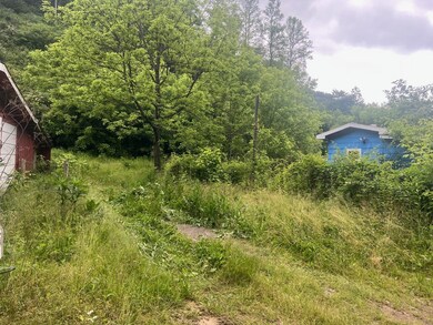 918 Spurlock Fork, Dana, KY 41615 - photo 4