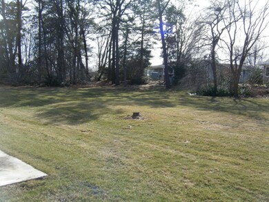 Back yard - v1.JPG