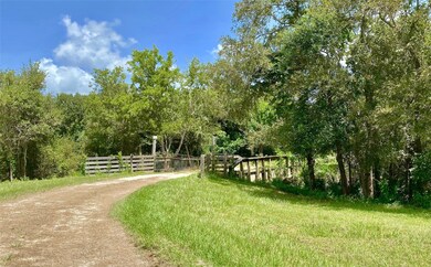 3244 County Road 309, Brazoria, TX 77422 - photo 3