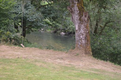 Tree swing by the river.