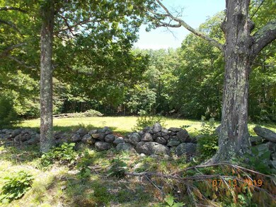 0 Burnham Rd unit 4764548, Freedom, NH 03836 - photo 3