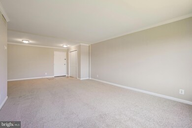 10570 Main St unit 503, Fairfax, VA 22030 - photo 6