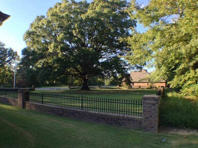 Back Yard overlooks quiet park.