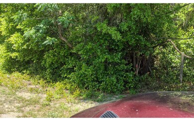 TBD Off Cr 248, Obrien, FL 32071 - photo 3