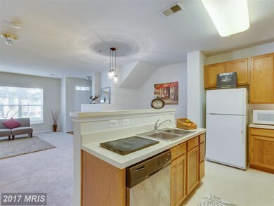 42264 Terrazzo Terrace unit 805, Stone Ridge, VA 20105 - photo 7