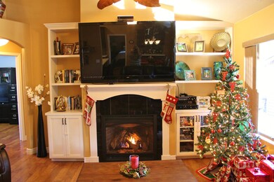 Living Room Fire Place