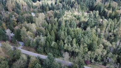 22613 152nd Ave E, Graham, WA 98338 - photo 3