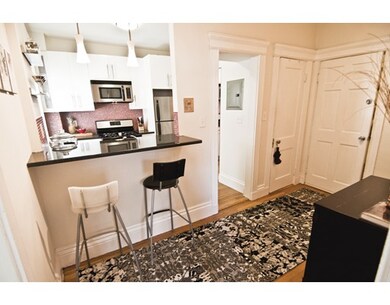31 Queensberry St unit 14, Boston, MA 02215 - photo 5