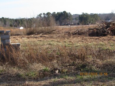 249 Orchard Rd, Elm City, NC 27822 - photo 4