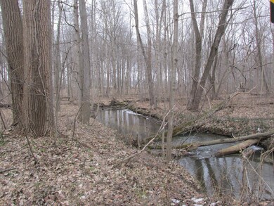 4709 W Olive Branch Rd, Three Oaks Township, MI 49128 - photo 2