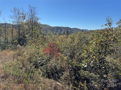 667 Laurel Thicket Ln, Brevard, NC 28712 - photo 3