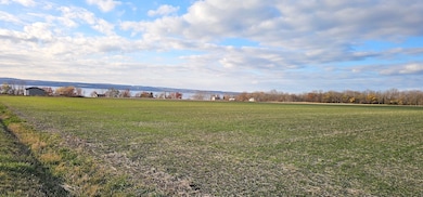 0 Kennedy Rd unit 25659850, Varick, NY 14521 - photo 3