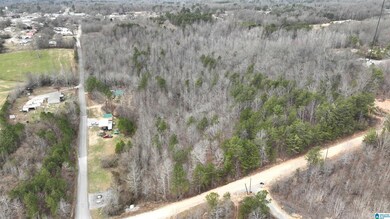 00 Kent St, Phil Campbell, AL 35581 - photo 6