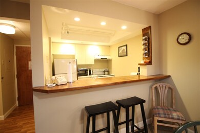 28 Packards Rd unit 509, Waterville Valley, NH 03215 - photo 3