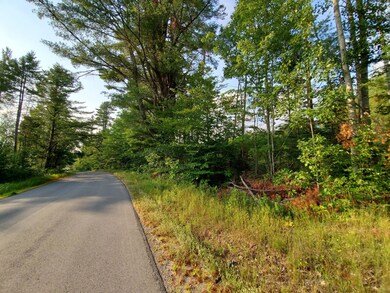 Great Pond Rd at gate