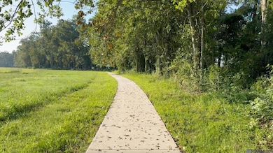 17528 Lakefront Ln, Baton Rouge, LA 70810 - photo 4