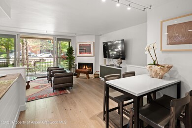 800 E Hopkins Ave unit A4, Aspen, CO 81611 - photo 7