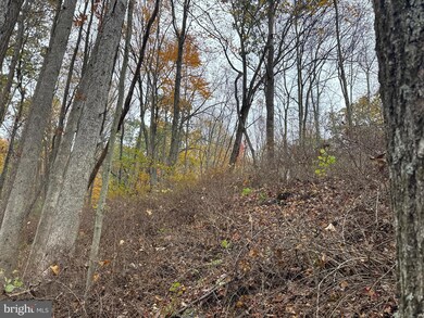 TRACT 4: 13.5+/- ACR Coles Valley Rd, Robertsdale, PA 16674 - photo 6