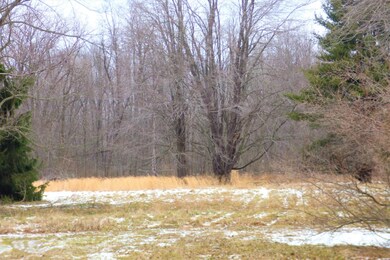 9415 1/2 Union Pier Rd, Union Pier, MI 49129 - photo 2